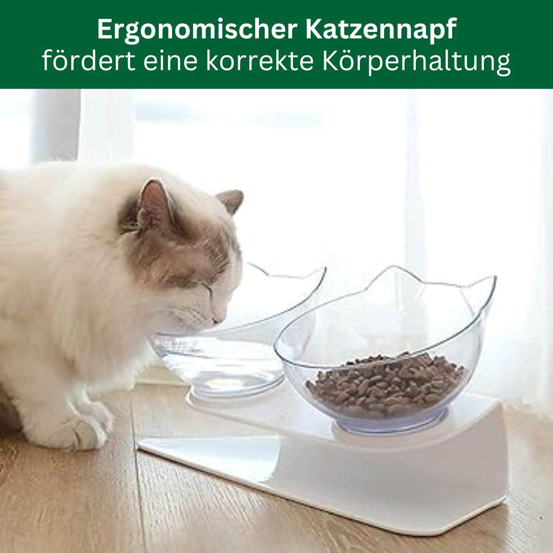 BackCup - Ergonomischer Katzennapf für eine gesunde Körperhaltung