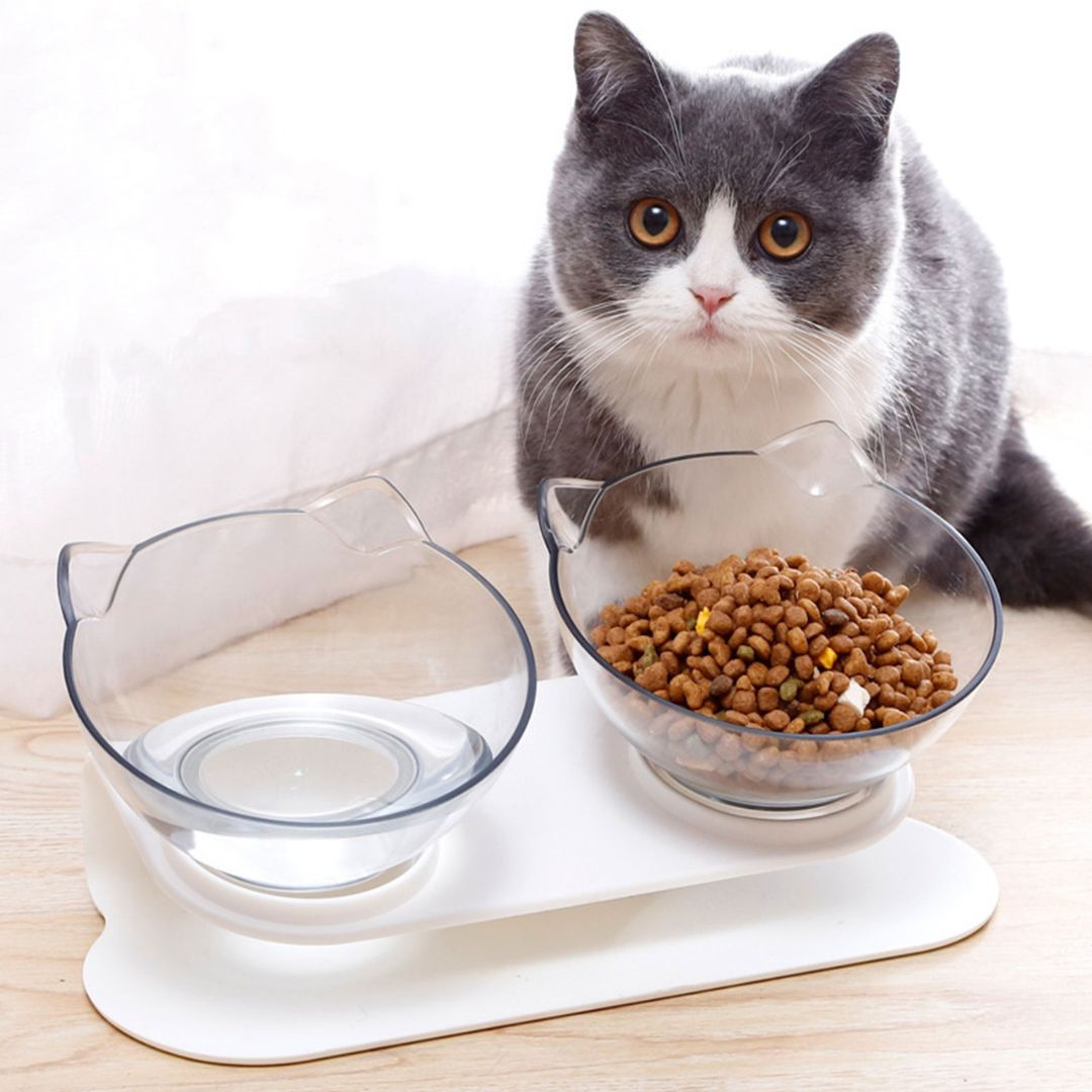 BackCup - Ergonomischer Katzennapf für eine gesunde Körperhaltung