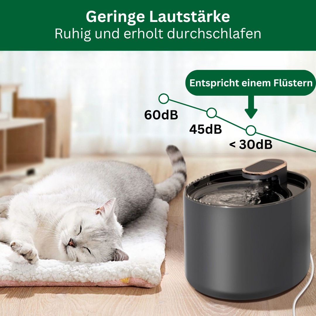 Amocy - Innovativer Katzenbrunnen regt aktiv die Wasseraufnahme an