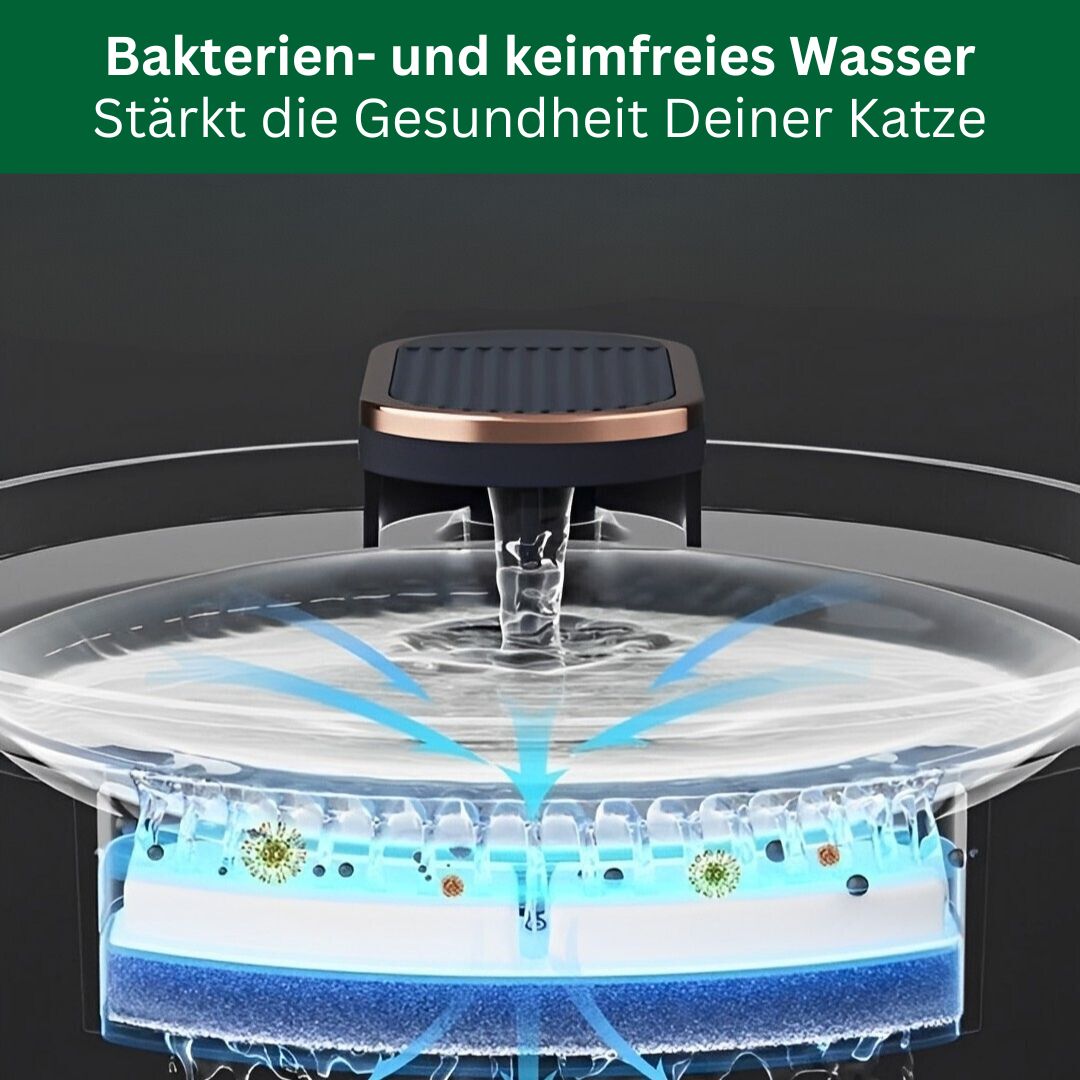 Amocy - Innovativer Katzenbrunnen regt aktiv die Wasseraufnahme an