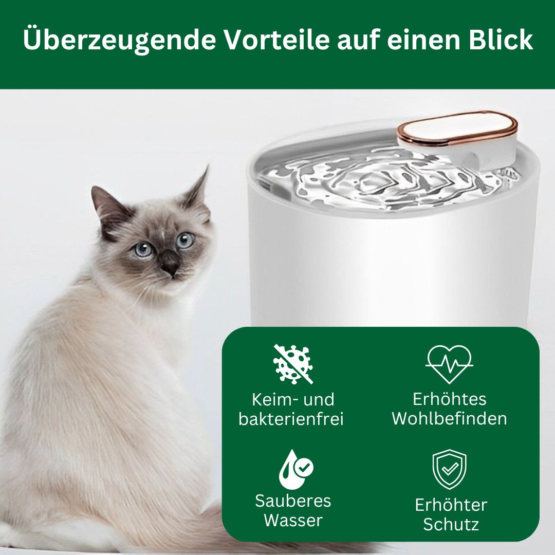 Amocy - Innovativer Katzenbrunnen regt aktiv die Wasseraufnahme an