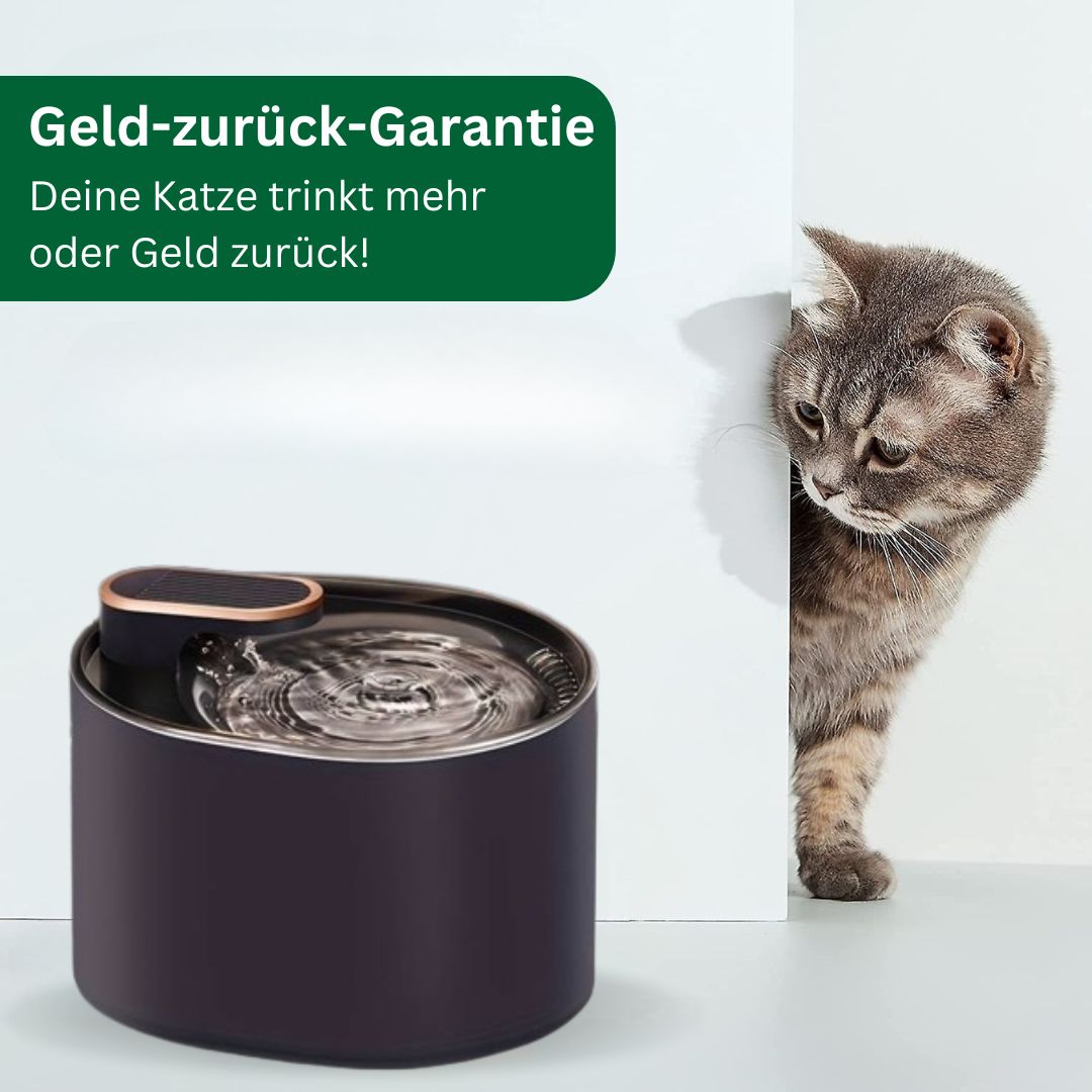 Amocy - Innovativer Katzenbrunnen regt aktiv die Wasseraufnahme an