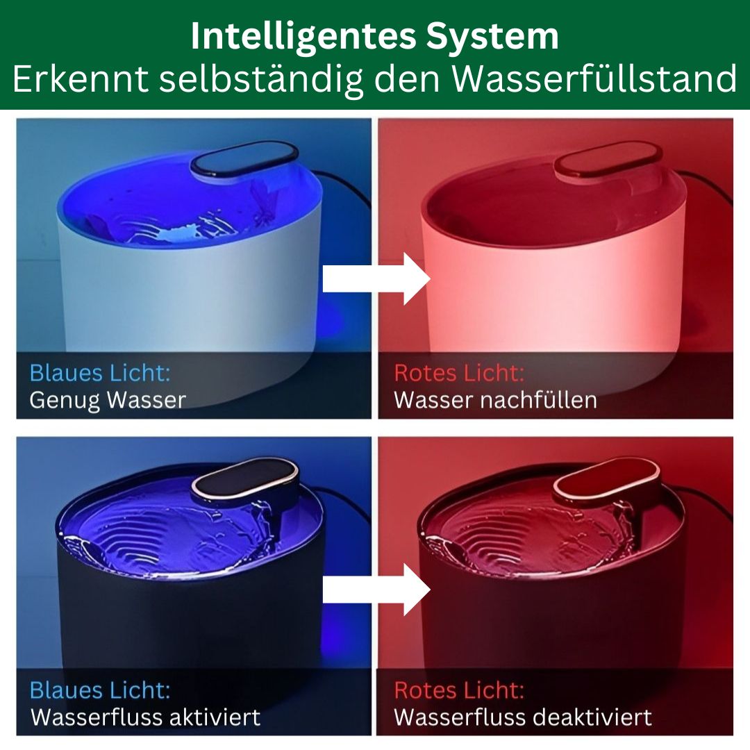 Amocy - Innovativer Katzenbrunnen regt aktiv die Wasseraufnahme an