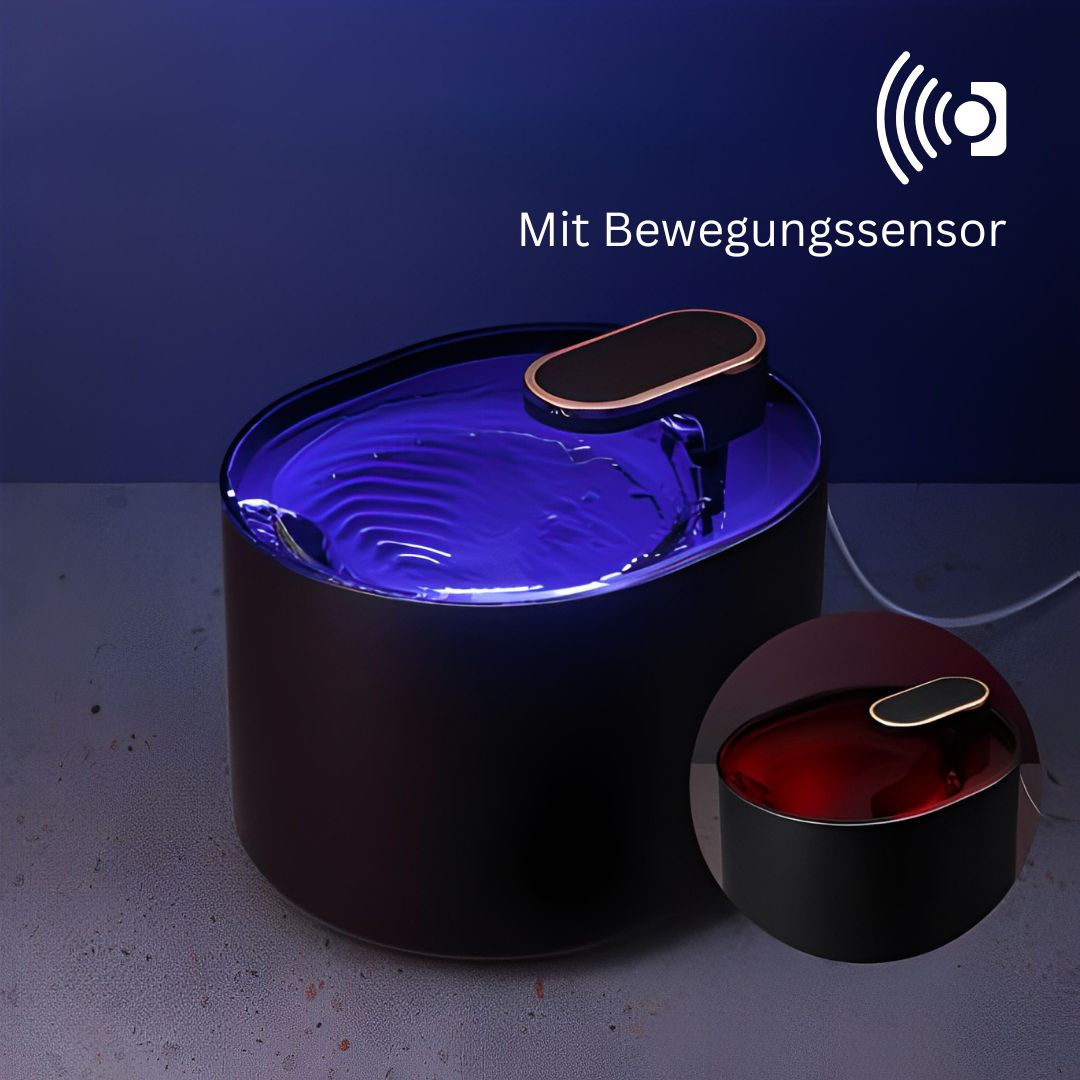Amocy - Innovativer Katzenbrunnen regt aktiv die Wasseraufnahme an