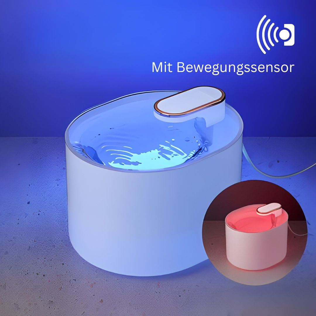 Amocy - Innovativer Katzenbrunnen regt aktiv die Wasseraufnahme an