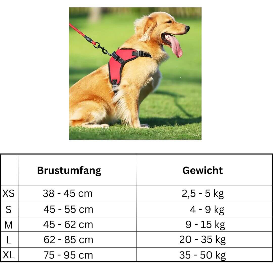 Noya - Hochwertiges Hundegeschirr verhindert Würgen und Druckstellen