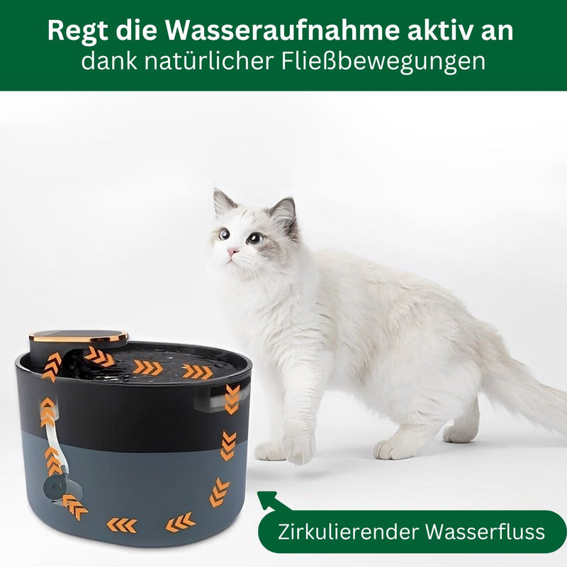 Amocy - Innovativer Katzenbrunnen regt aktiv die Wasseraufnahme an