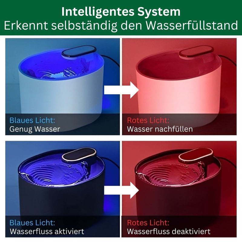 Amocy - Innovativer Katzenbrunnen regt aktiv die Wasseraufnahme an